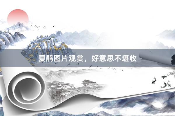 夏鹃图片观赏，好意思不堪收