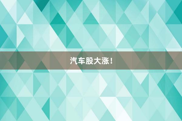 汽车股大涨！