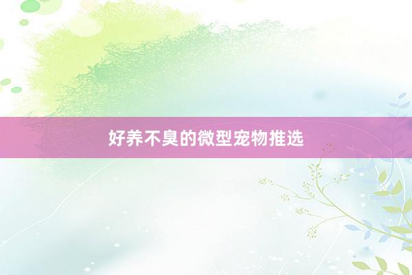 好养不臭的微型宠物推选