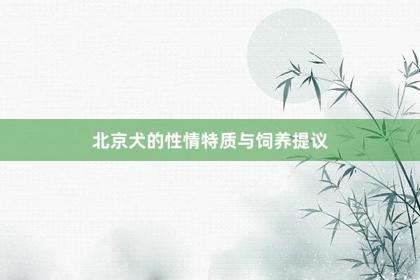 北京犬的性情特质与饲养提议