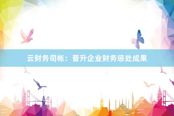 云财务司帐：晋升企业财务惩处成果